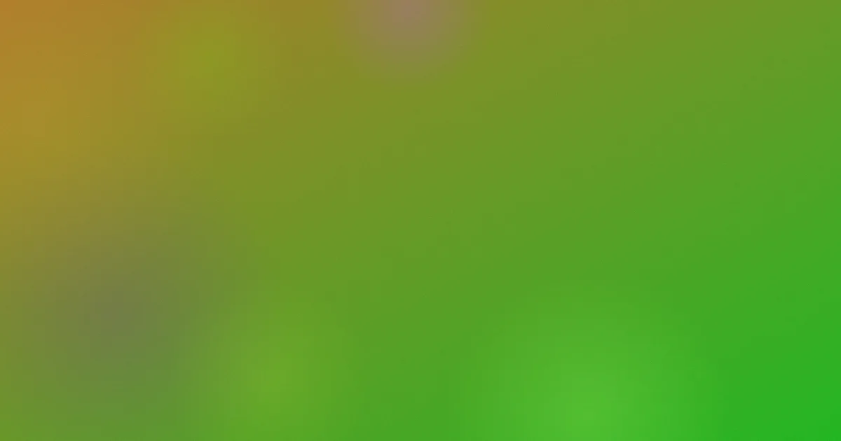 selaoban避坑：看懂背后逻辑